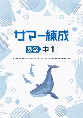 サマー練成　数学　中１