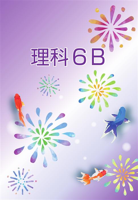 夏のテキスト　理科　小６Ｂ