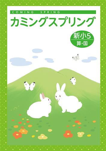 カミングスプリング　合本　算国　小５