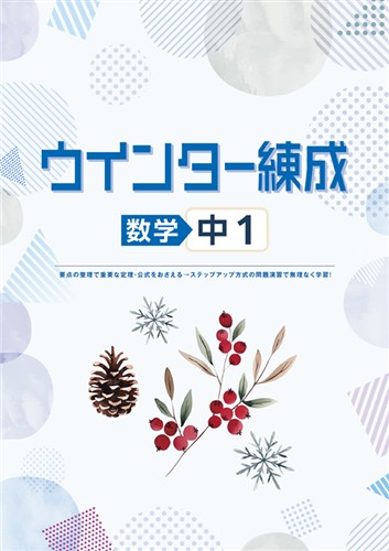 ウインター練成　数学　中１
