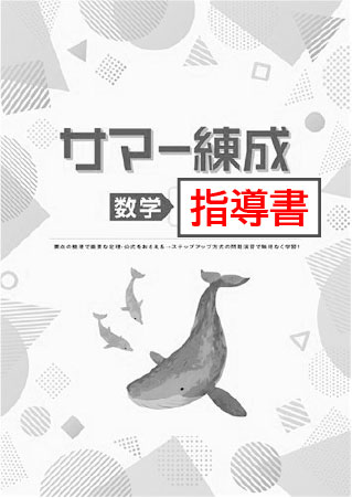 指導書　サマー練成　数学　中１