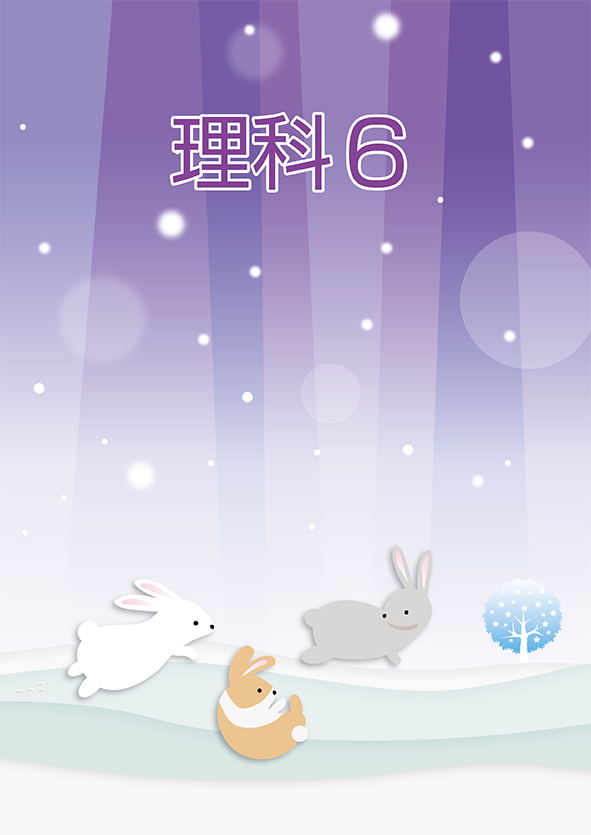 冬のテキスト　社会　小５