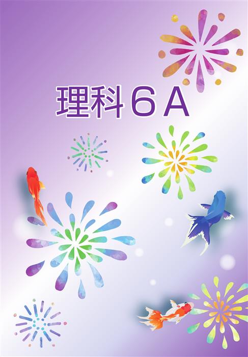 夏のテキスト　理科　小６Ａ