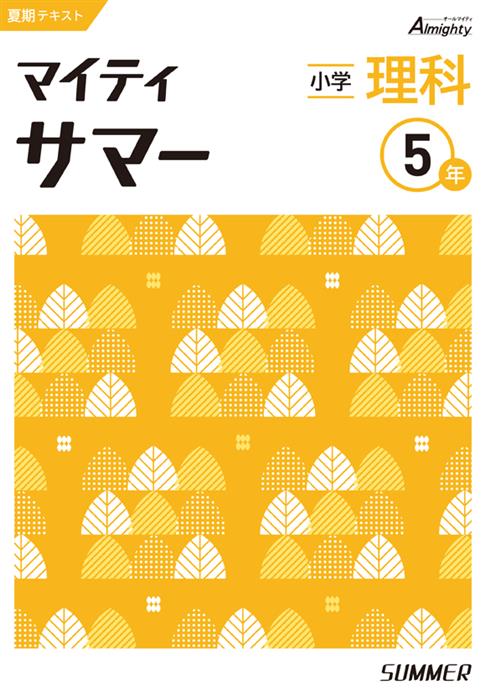 マイティサマー　理科　小５