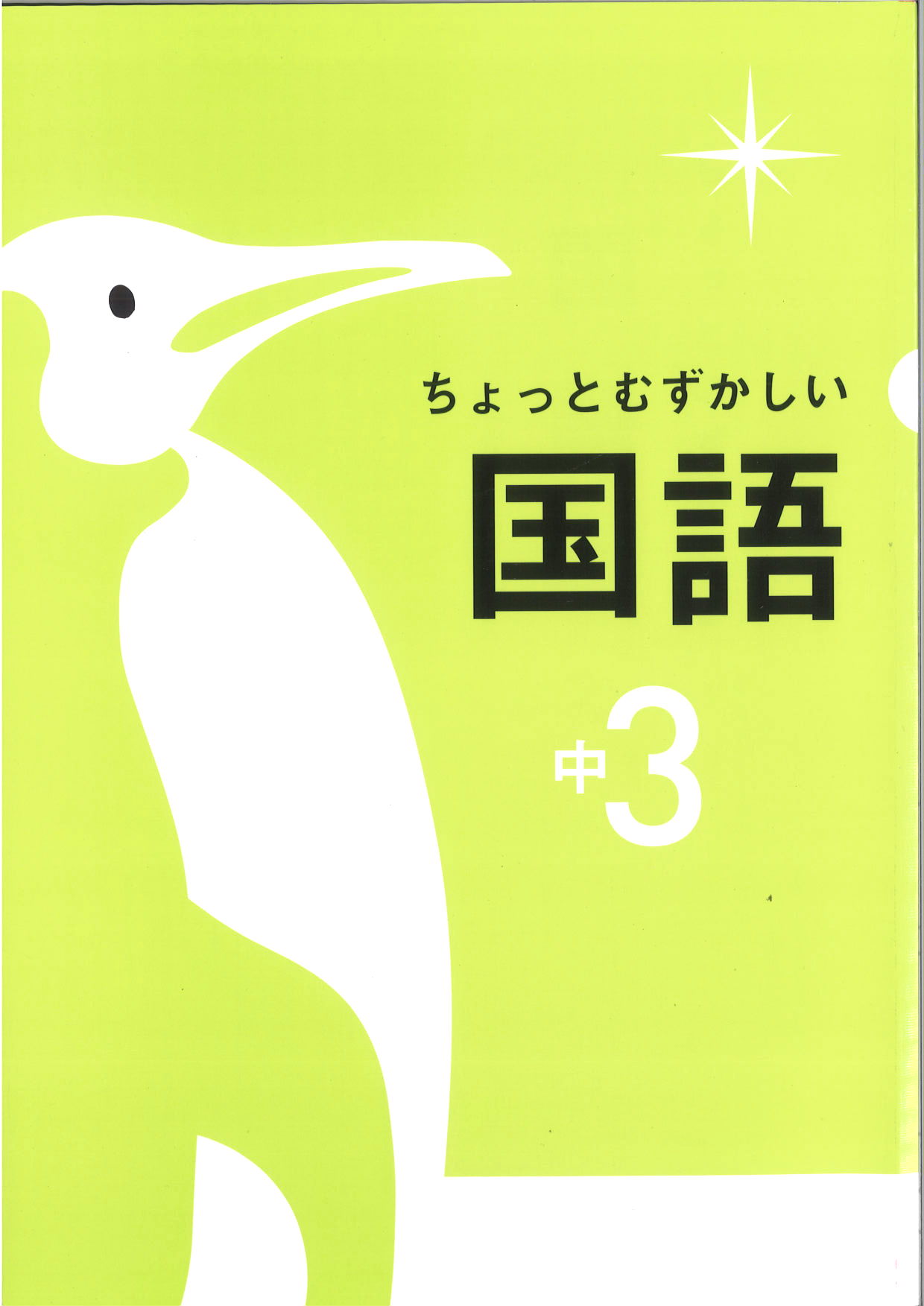 ちょっとむずかしい　国語　中３