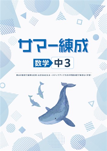 サマー練成　数学　中３