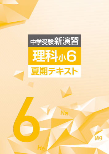 中学受験新演習　夏期テキスト　理科　小６