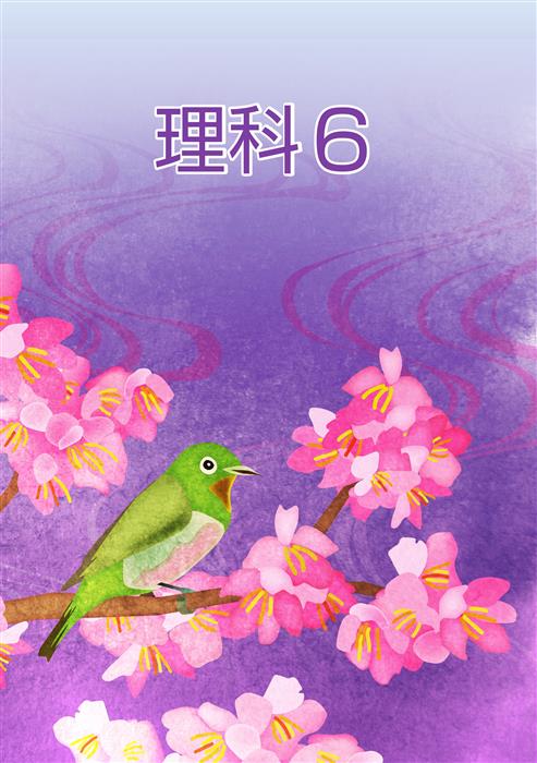 春のテキスト　理科　小６