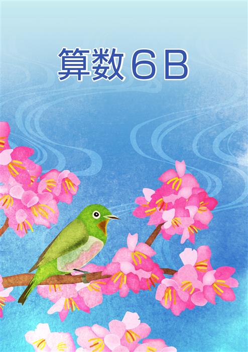 春のテキスト　算数　小６Ｂ